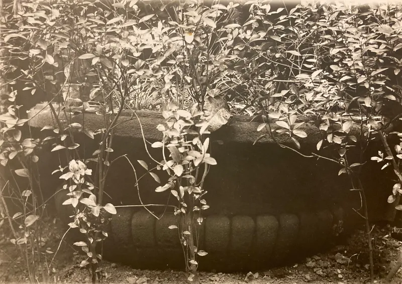 fotografie Zikmunda Reacha z počátku 20. století