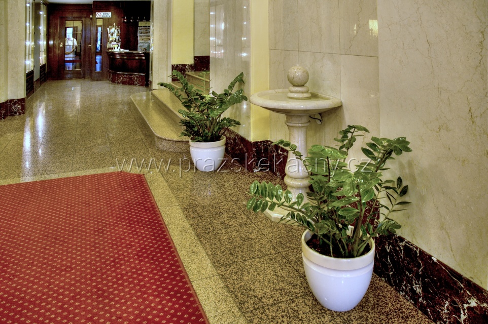 Drobná fontána ve vstupním foyer hotelu Esplanade