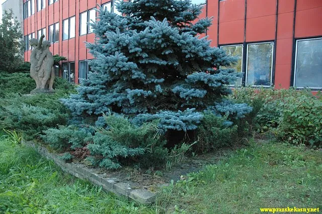 Fontána s plastikou u střední školy