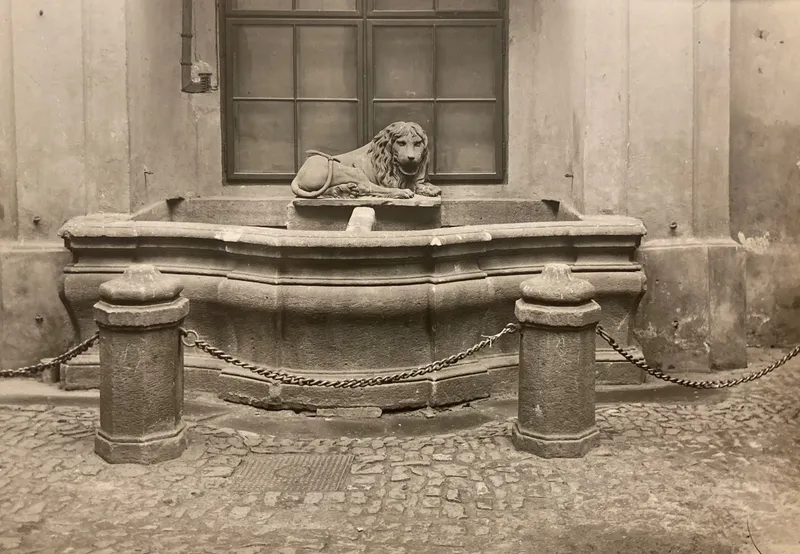 fotografie Zikmunda Reacha z počátku 20. století