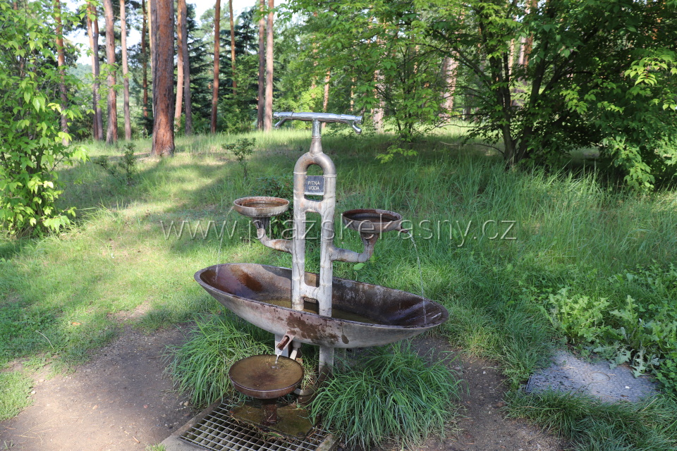 Pítko v Botanické zahradě