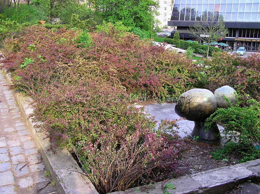 2005