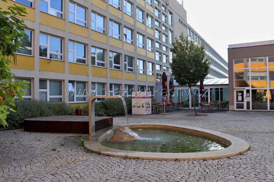 Fontána v atriu Fakulty agrobiologie