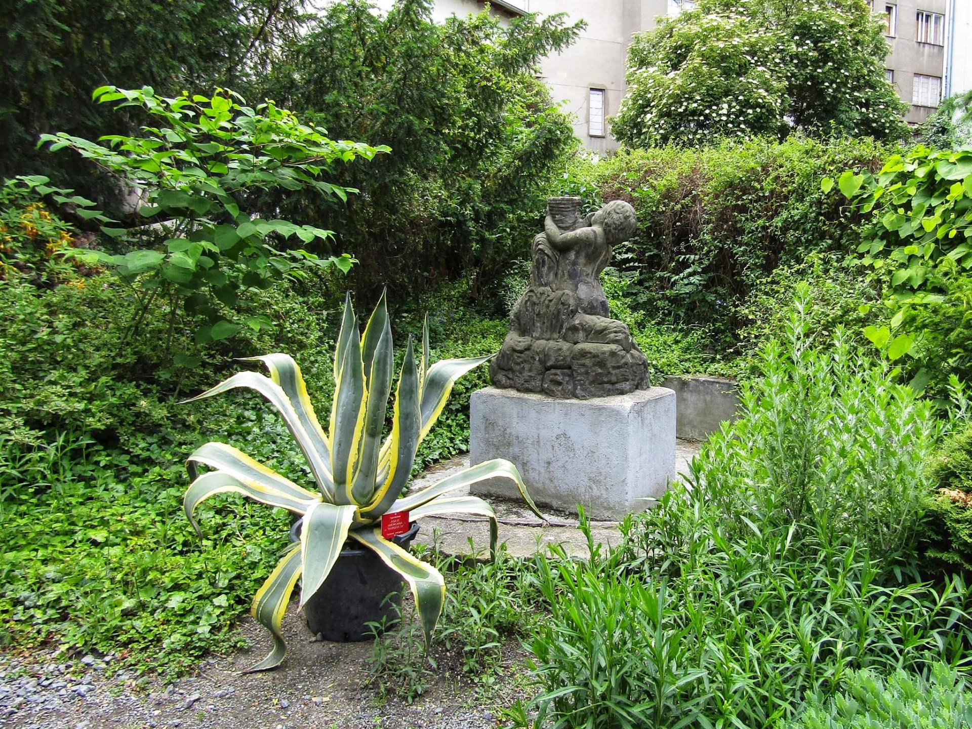 Vodotrysk se sochou Tritona v Botanické zahradě