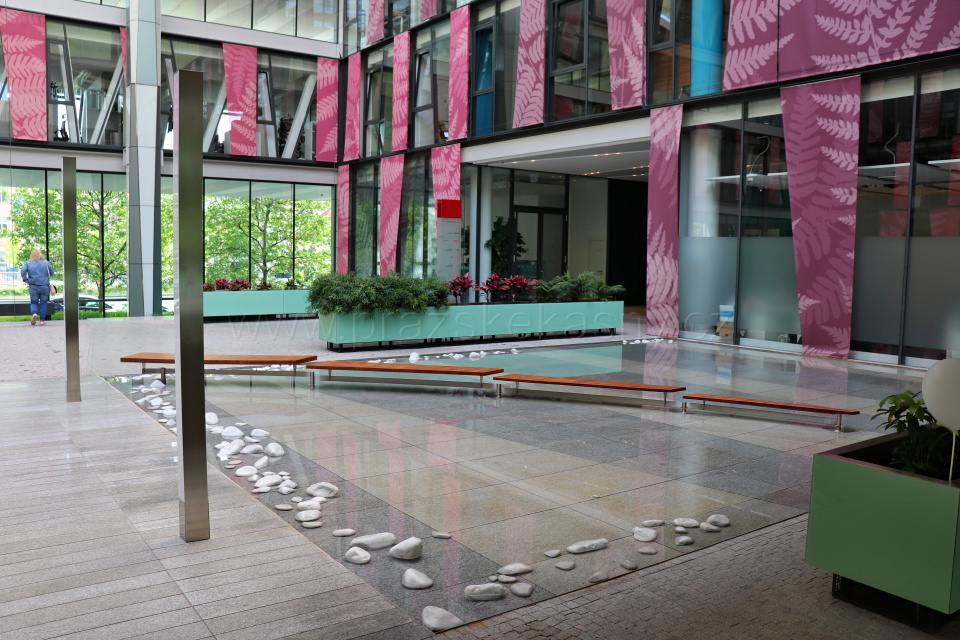 Vodní prvky v Amazon Court
